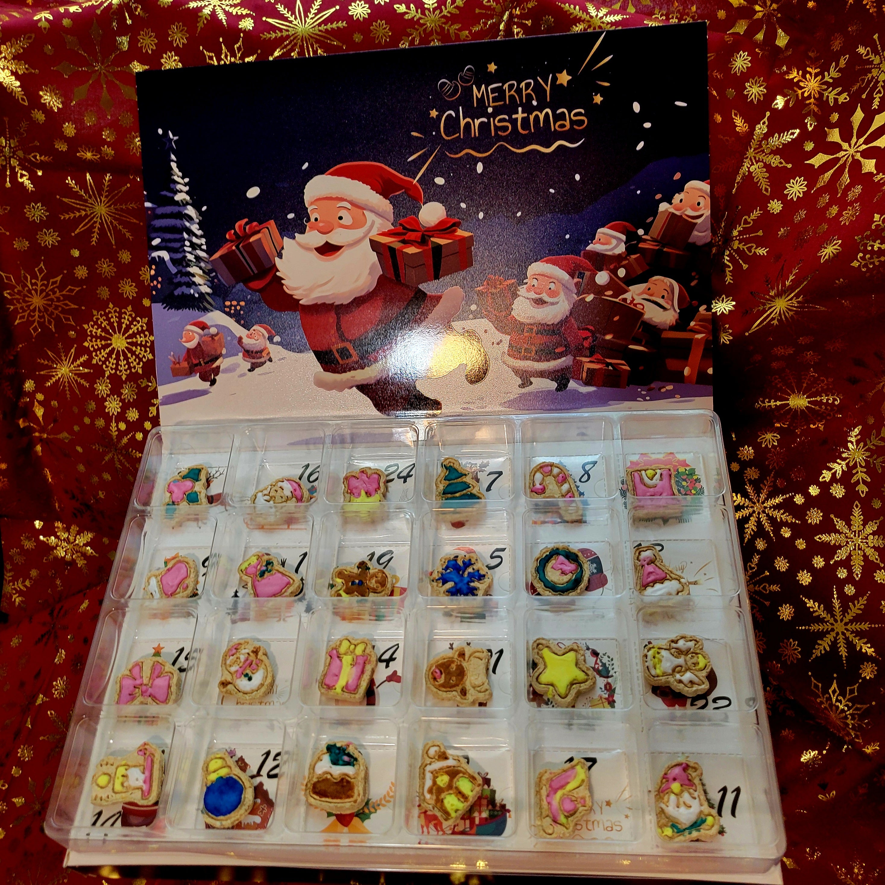 24 days of Christmas Advent Calendar Frosted